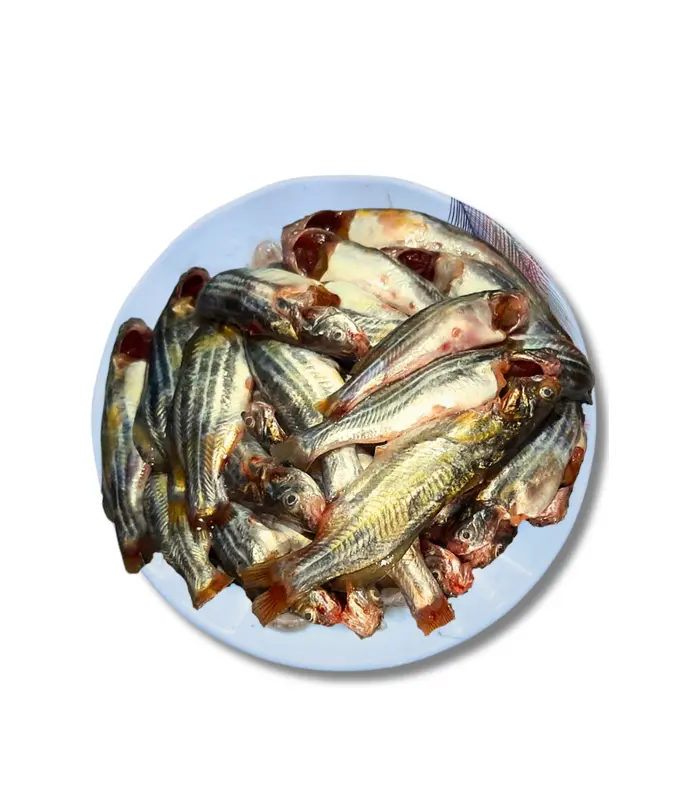 নদী-হাওরের মাছ