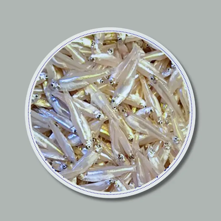 Kachki Fish  (কাচকি মাছ)