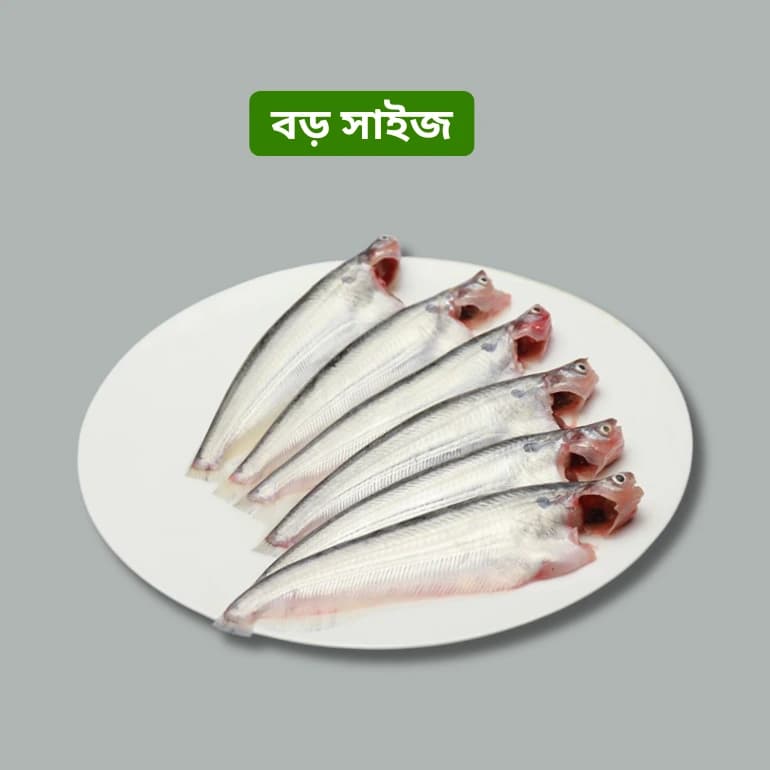 Haor pabda Fish (হাওরের পাবদা মাছ)