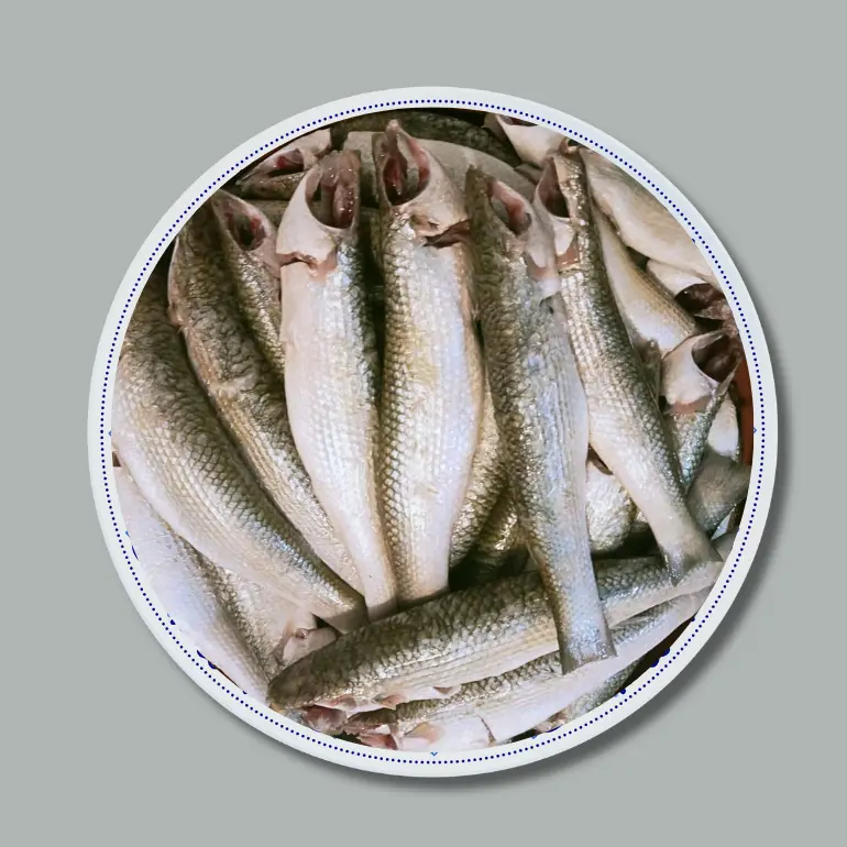 Tatkini Fish (টাটকিনি মাছ)