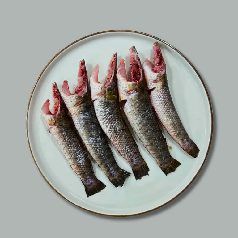 Taki Fish (টাকি মাছ)