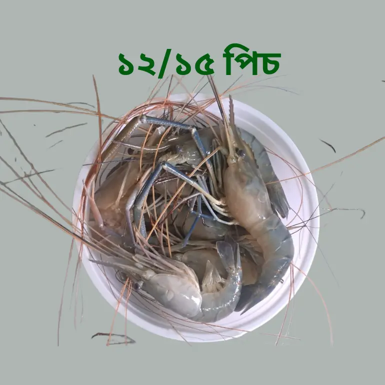 Golda Chingri Fish  (গলদা চিংড়ি)