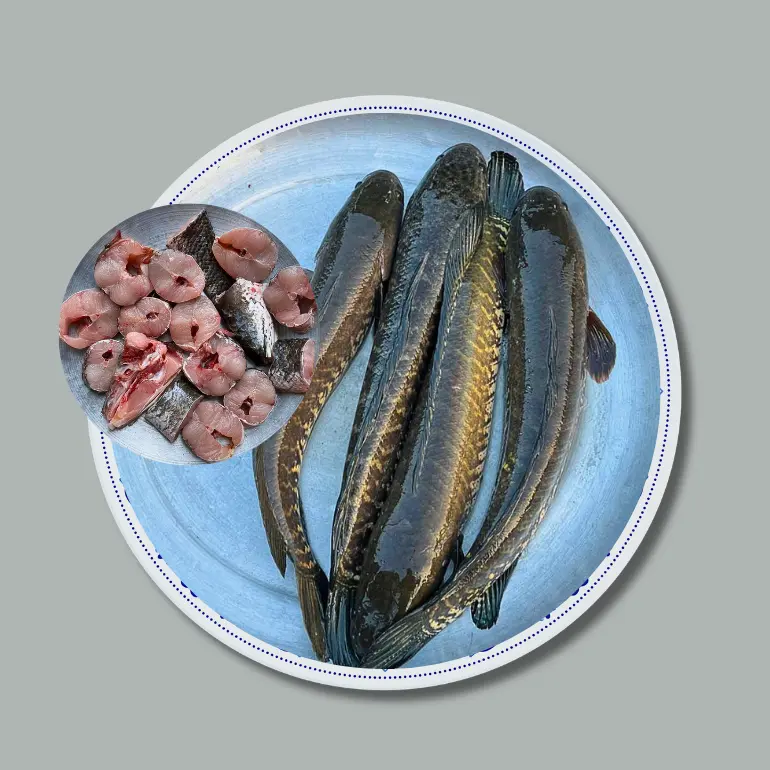 Deshi Shol Fish  (বিলের শৌল মাছ)