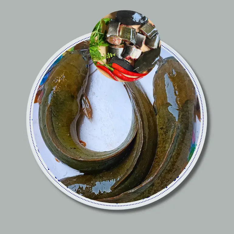 Deshi Magur Fish  (বিলের মাগুর মাছ)