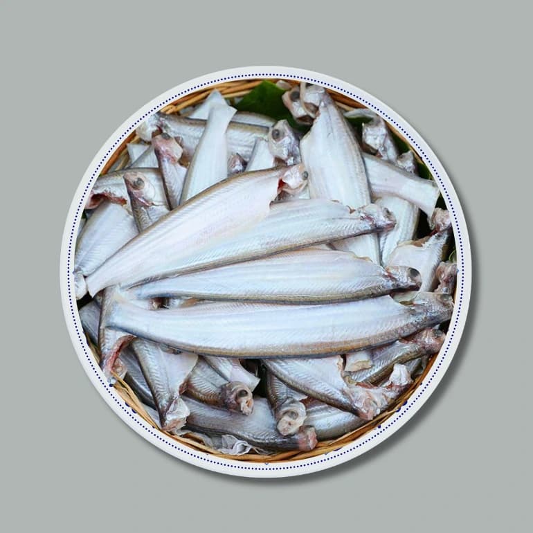 Kajoli Fish  (কাজলি মাছ)