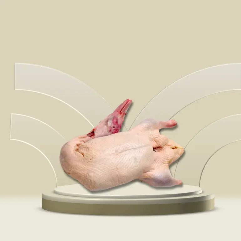 Beijing Duck (বেইজিংহাঁস)