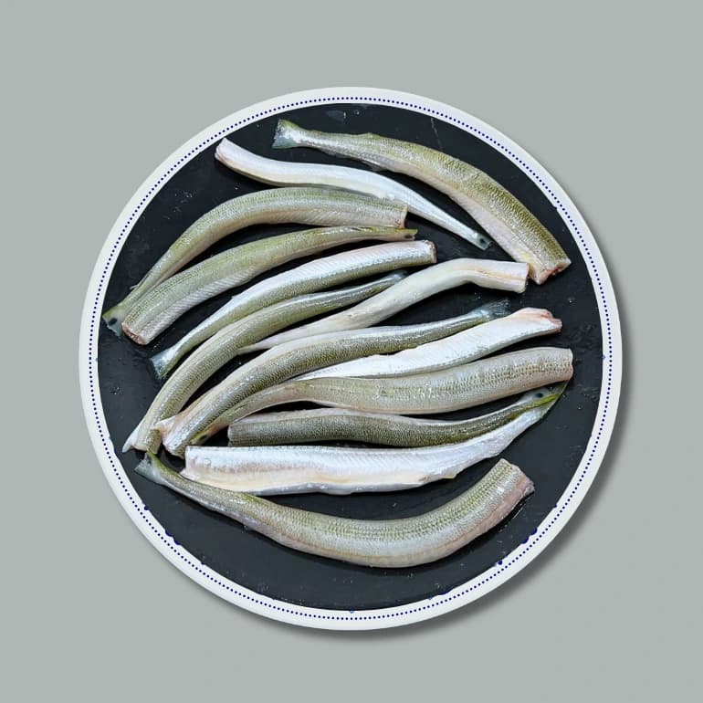 Kaikka Fish  (কাইক্কা মাছ)