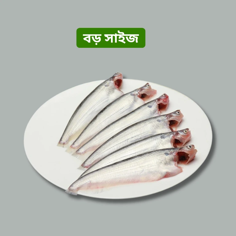 website product ( 770 px) new size (1)