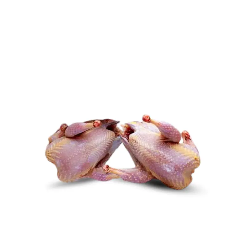 website product ( 770 px) new size (58)