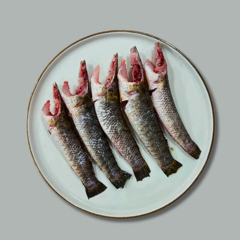 website product ( 770 px) new size (7)